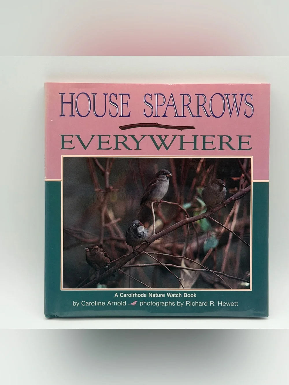 House Sparrows Everywhere by Caroline Arnold (Hardcover Book, 1992)